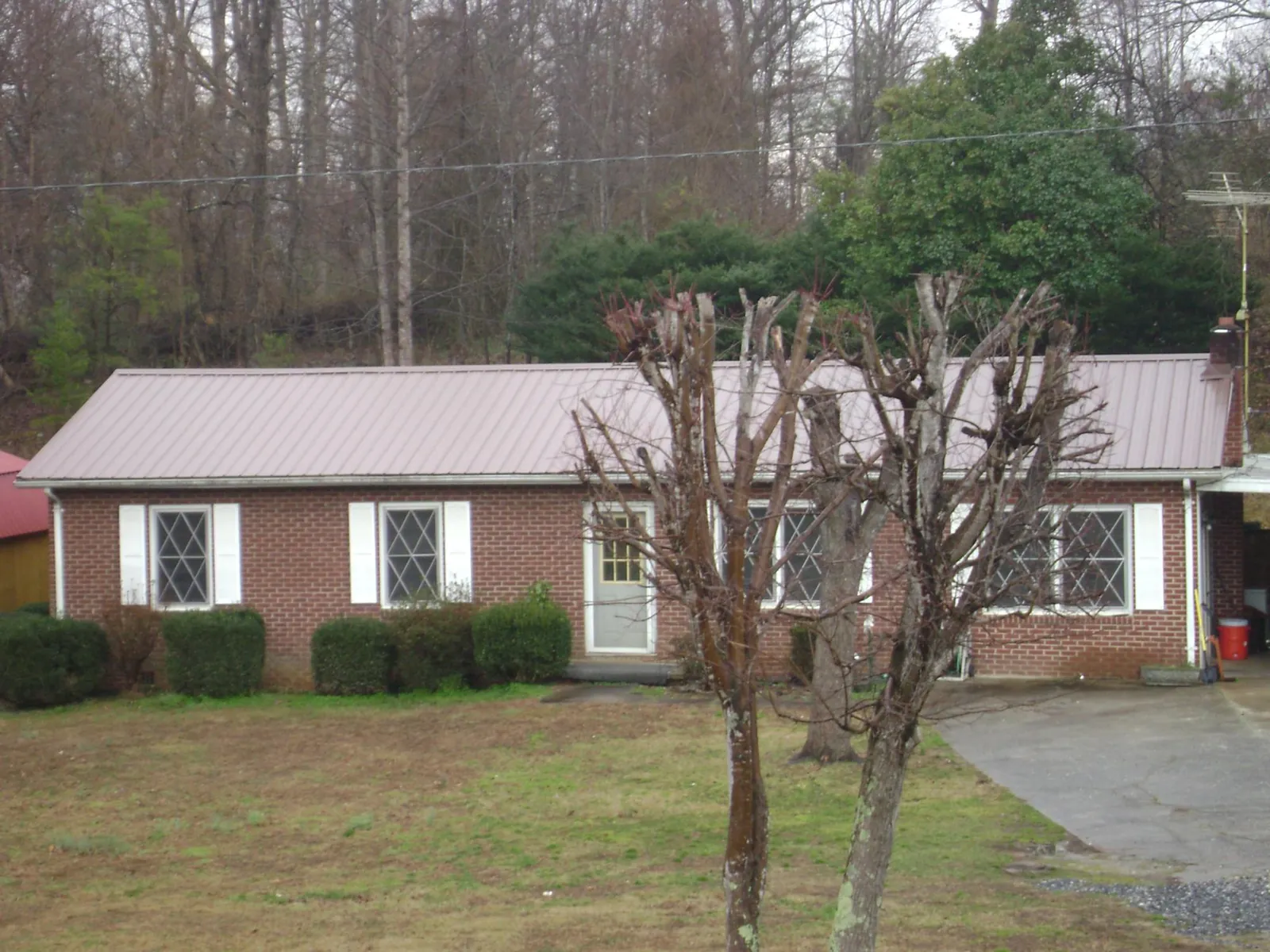 Mauve metal roof on a brick ranch home behind bare trees in Holly Hill