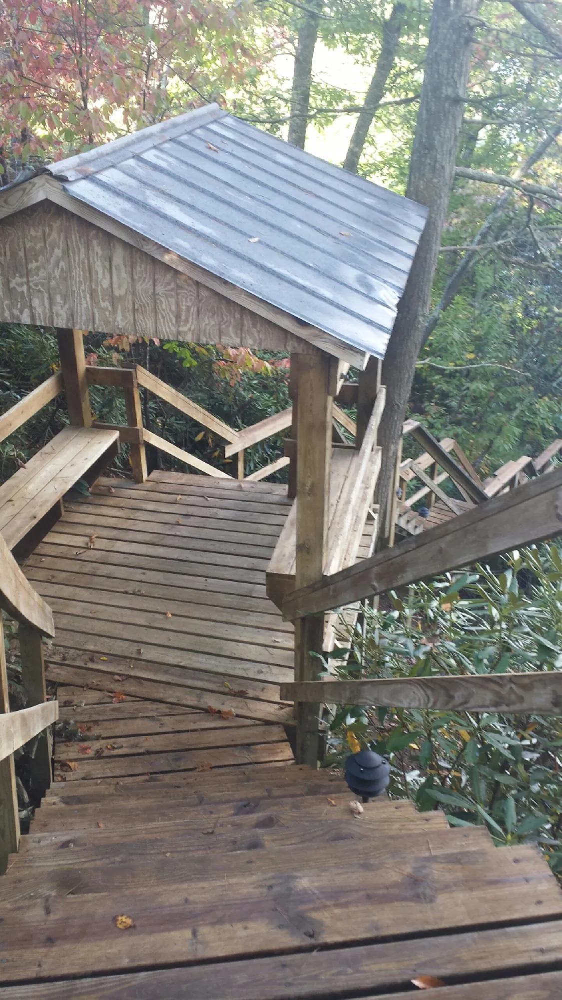 Metal roofed shelter over wooden steps on a wooded walkway — Skylight Repair & Installation work by our crew in Holly Hill